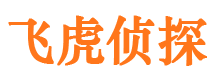 金寨市调查公司